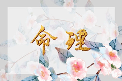 2026日历全年黄道吉日查询,日历2026全年农历表,万年历日历2026年